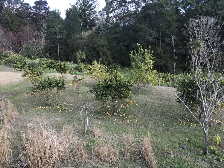 4 Church Street Kawakawa_23