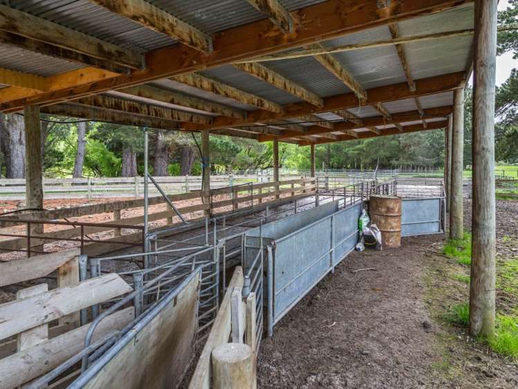 2081 Virginia Road Virginia_19