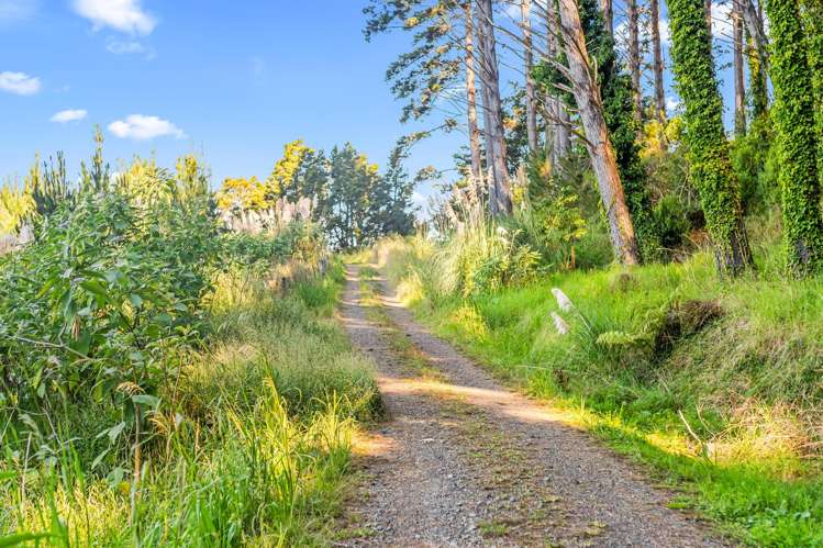 110 Whangape Track Road Broadwood_21