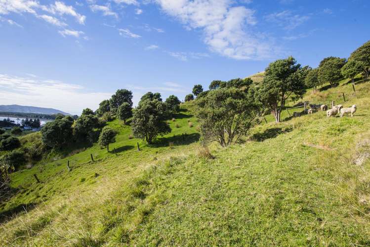 87 Lochiel Street Mahia_22