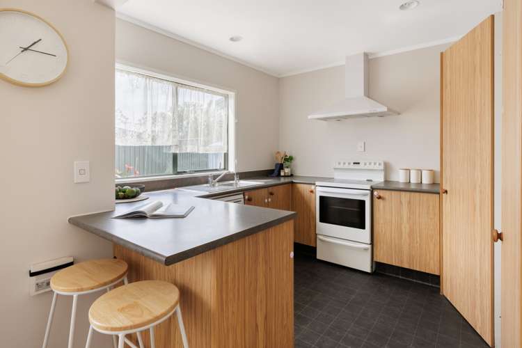 93 Maungatapu Road Maungatapu_7