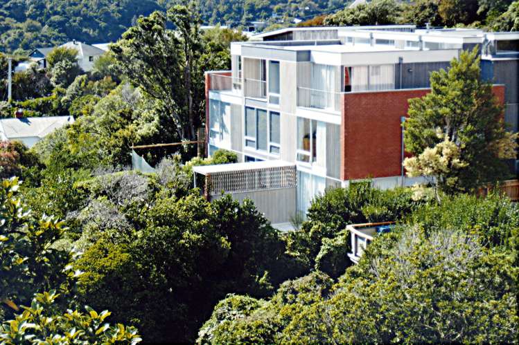 2c Leslie Street Wadestown_14