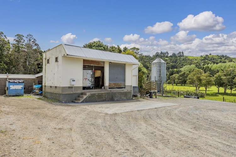 473 Kaipara Flats Road Kaipara Flats_29