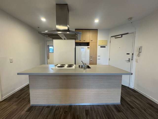 505/8 Ronayne Street Auckland Central_2