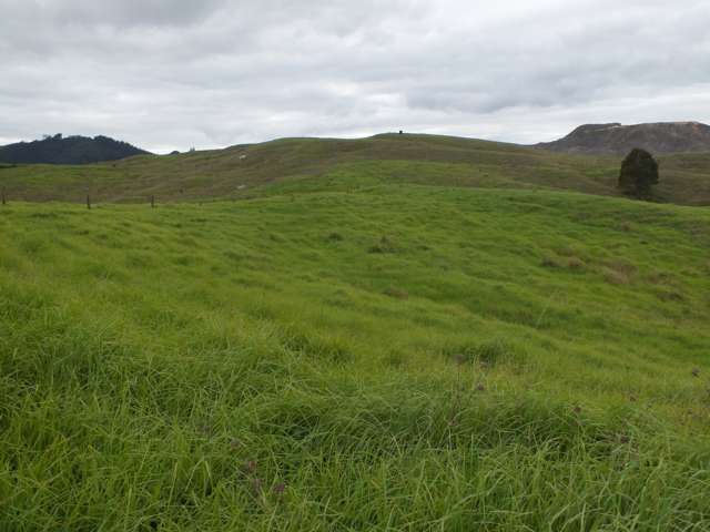 1884 Tangowahine Valley Road Dargaville Surrounds_1