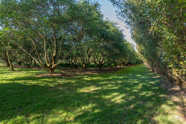 405-419 Matahui Road Aongatete_19