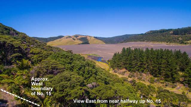 15 Tasman View Road Bethells Beach_4