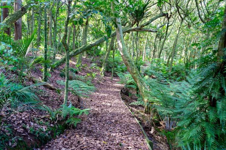 25A Parker Lane Buckland_20