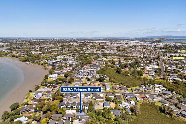 222A Princes Street East Otahuhu_2