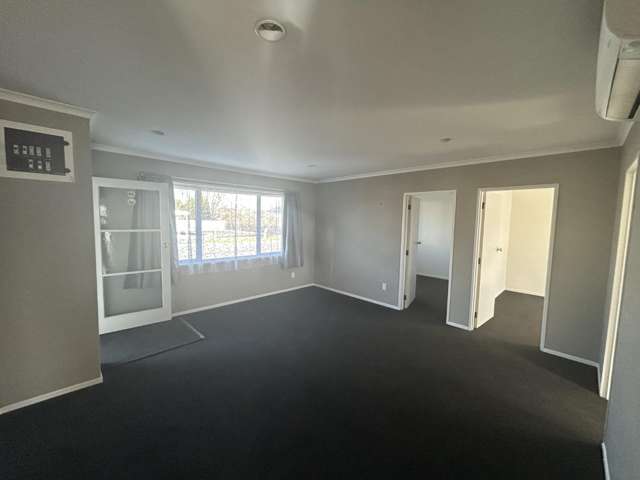 B/2 Bunny Street Masterton_3