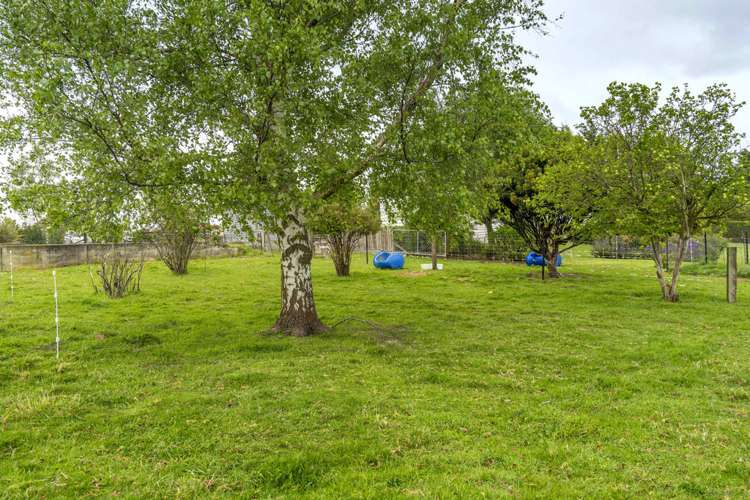 164 Birchwood Road Ohai_6