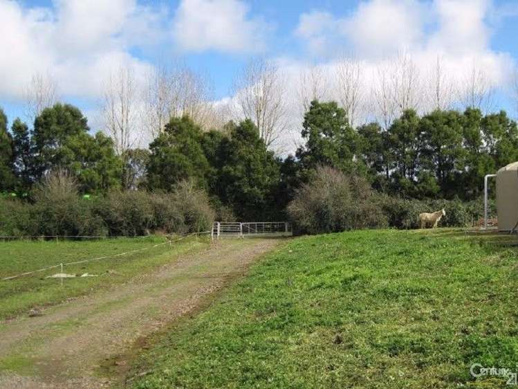 6 Irish Road Mangatawhiri_8