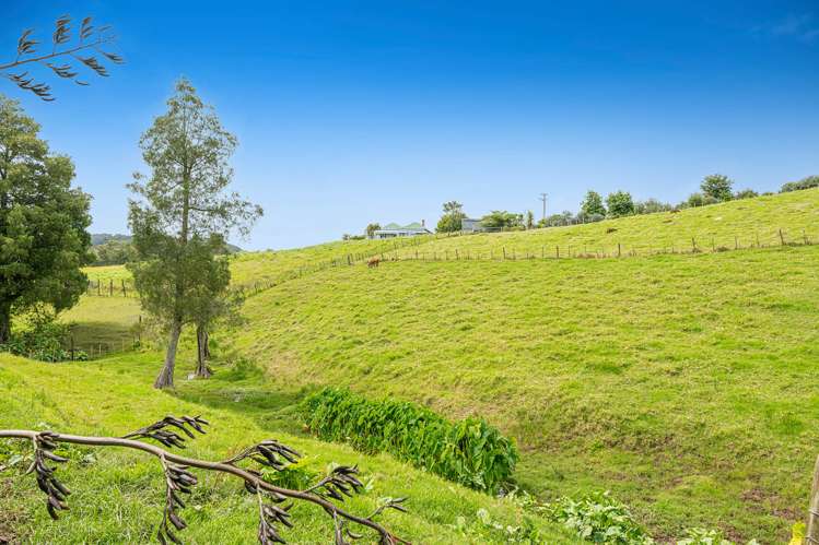 49 Moses Road Kaukapakapa_23