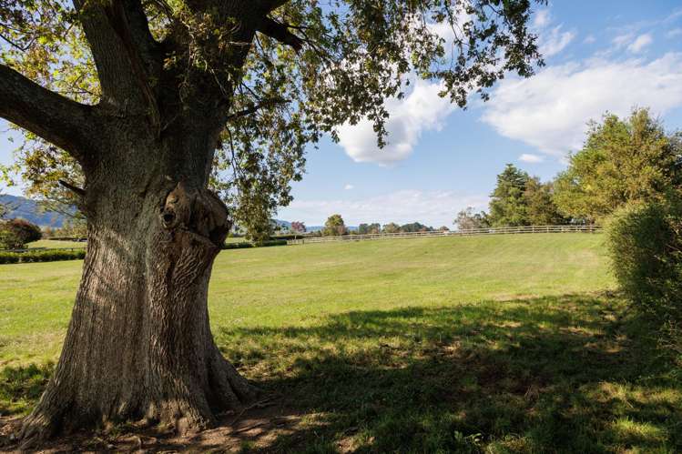 Harding Road Matamata-piako Surrounds_8