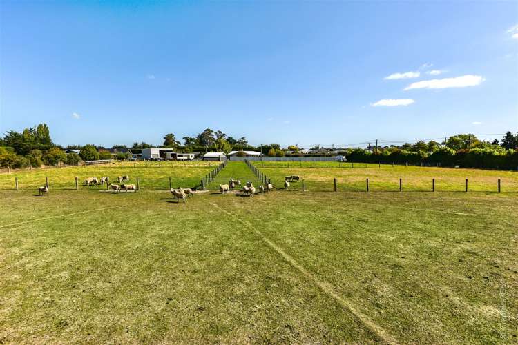 471 Springs Road Prebbleton_41