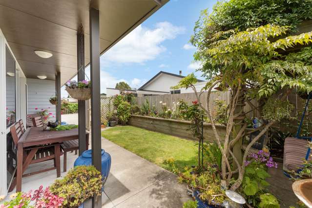 27a Tukapa Street Westown_1