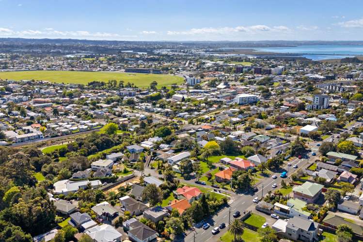 217 Blockhouse Bay Road Avondale_33
