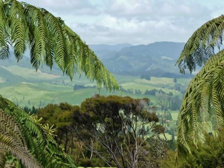 251 Dangen Road Peria_5