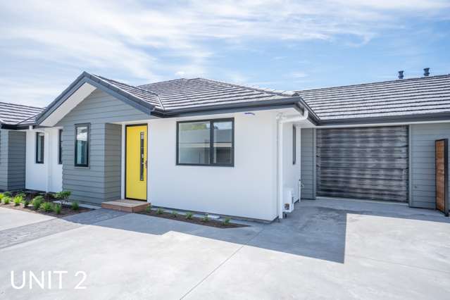 139 Grey Street Palmerston North Central_2