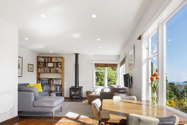 119 Nevay Road Miramar_1