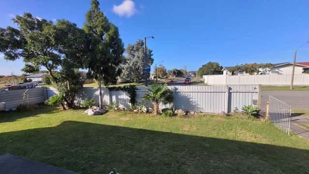 39 Plunket Street Tamatea_3