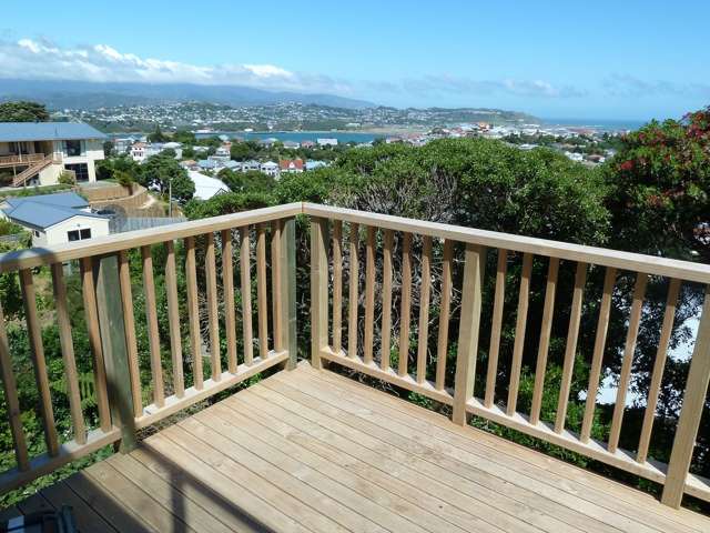 111A Rakau Road Hataitai_2