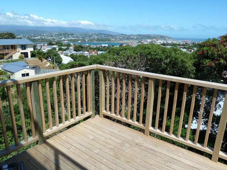 111A Rakau Road Hataitai_2