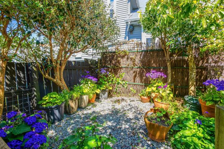 15 Ngaio Road Kelburn_24