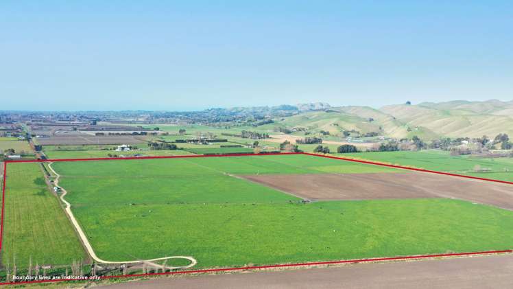 85 West Road Havelock North_5