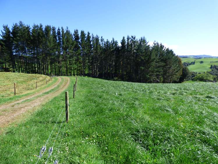 2229 State Highway 31, Kawhia Road Otorohanga_18