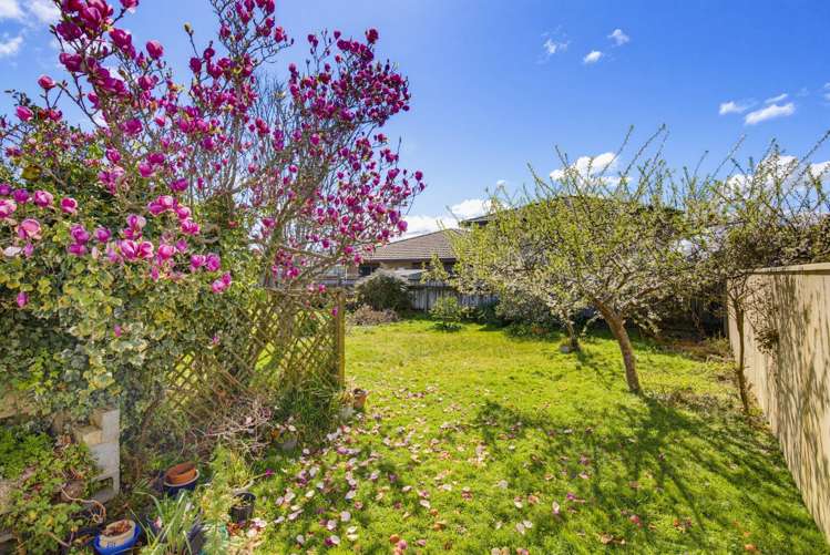 6A Trafalgar Street Levin_15