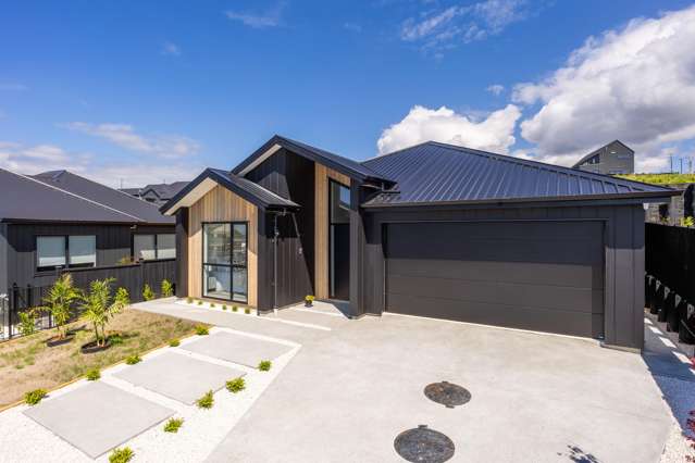 Single Level! Brand New! Comfort Family Home!