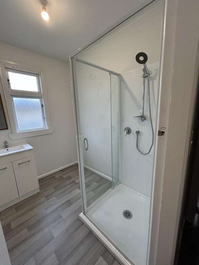 56 Venice Street 11146_4