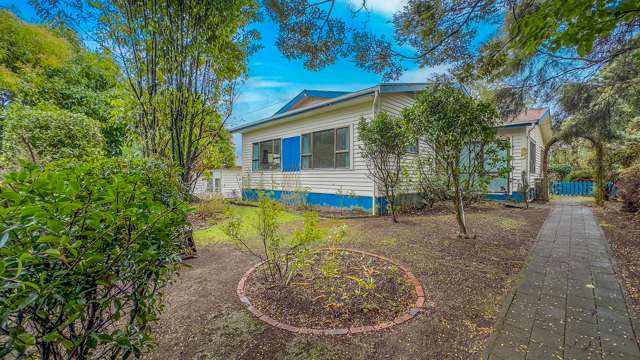 51 Arapuni Street Putaruru_1