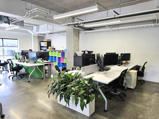 20 Augustus Terrace Parnell_3