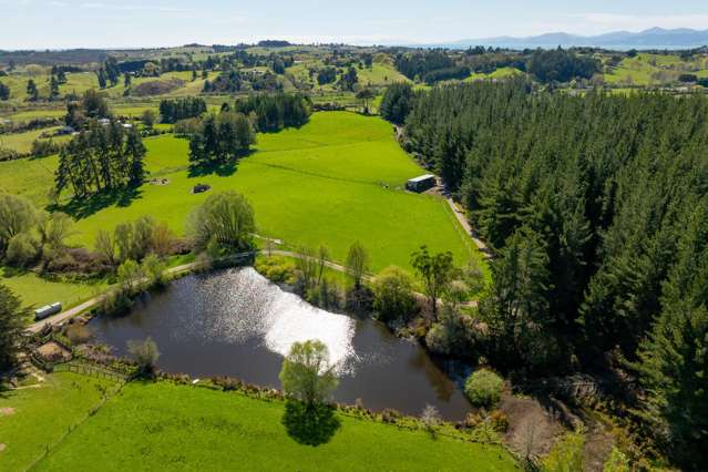 240 George Harvey Road Upper Moutere_2