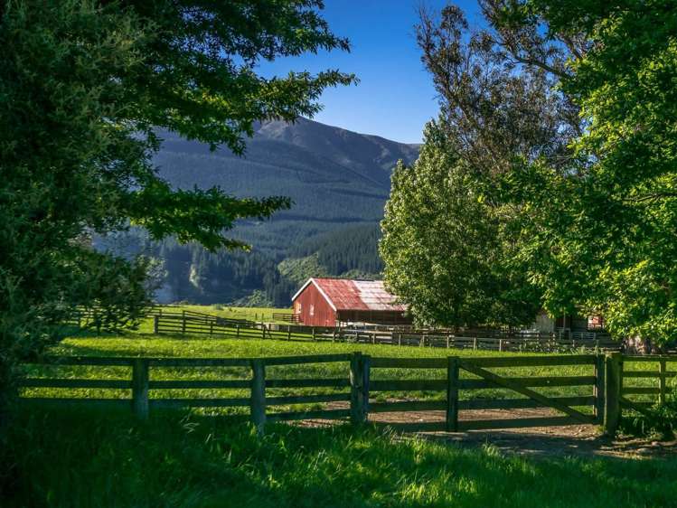 35 Welds Hill Road Awatere Valley_19