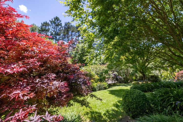 774 Koheroa Road Mercer_21