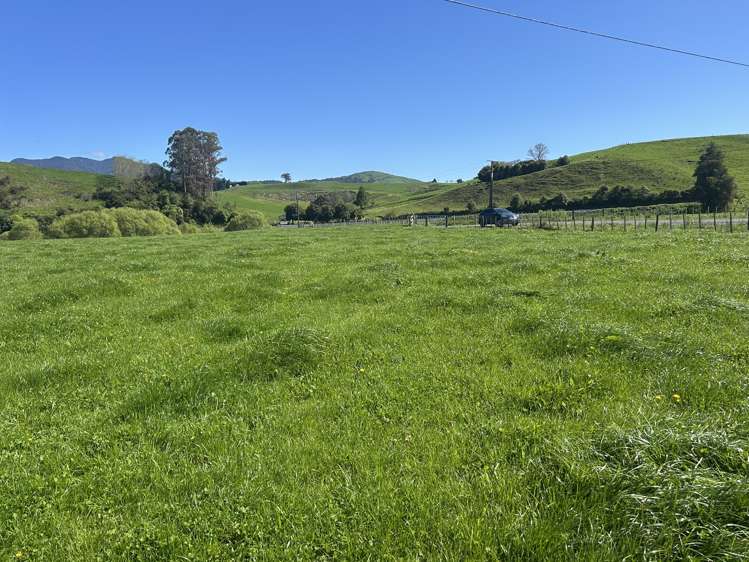 51 Kiwi Road Pirongia_7