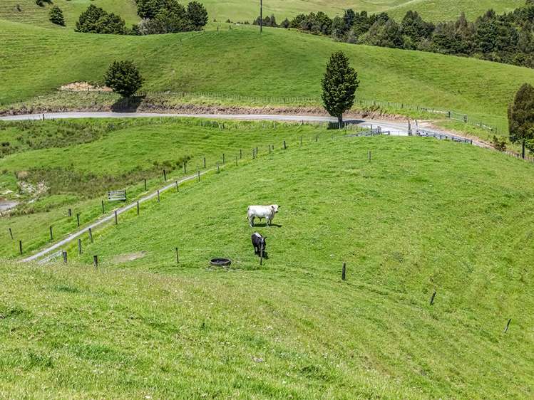 54 Simpson Road Kaitaia_27