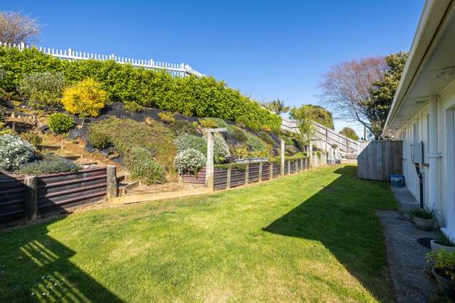 293 Tukapa Street Hurdon_2