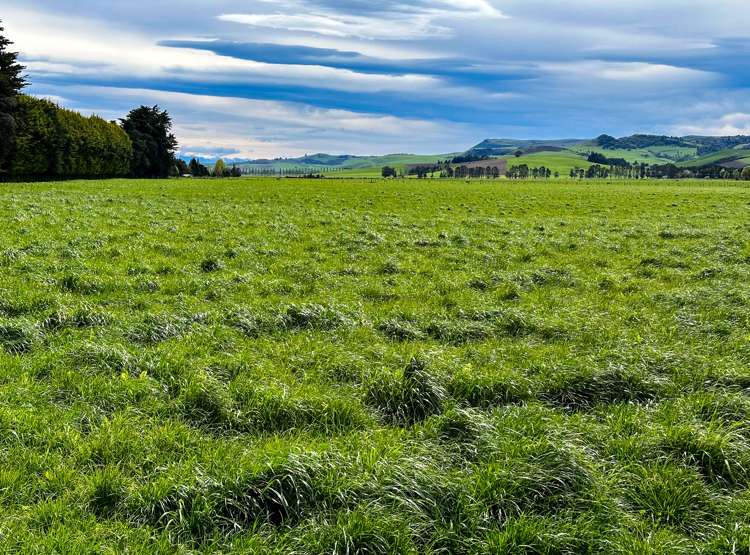 222 Boggyburn Road Winton Surrounds_15