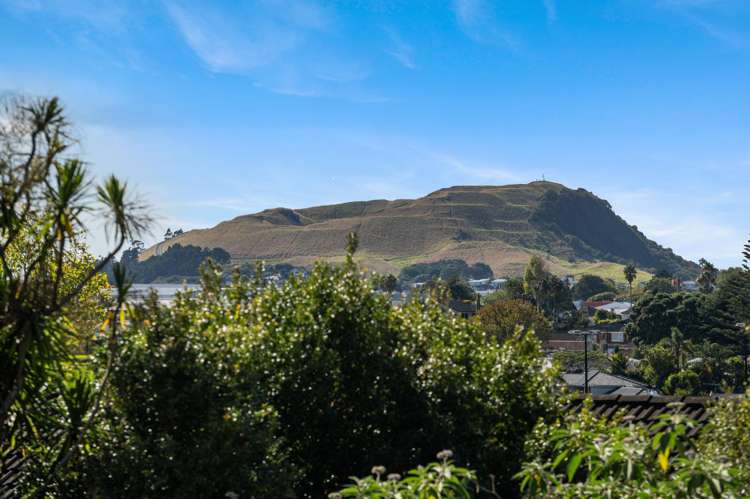 38a Amy Street Ellerslie_30