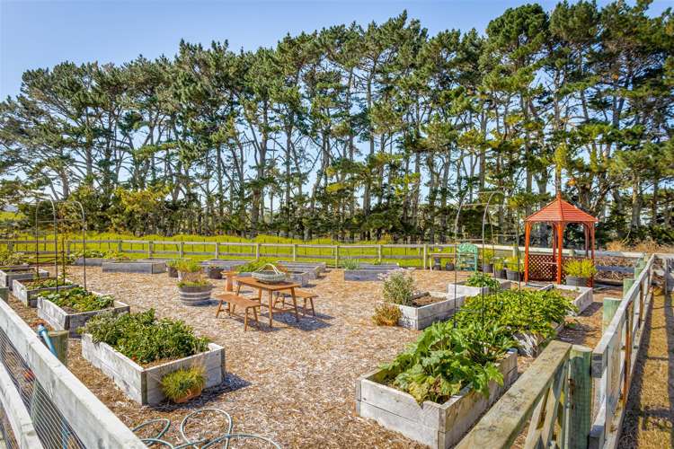 135c Hutchinson Road Helensville_6