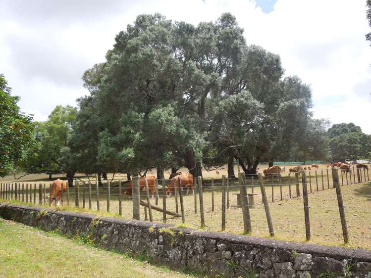 3/49 Turama Road Royal Oak_19