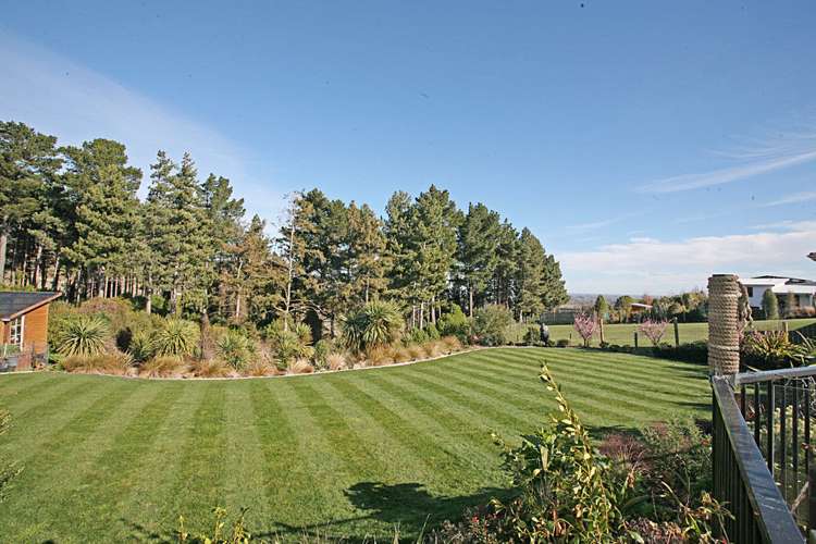 7 The Ridge Kennedys Bush_19