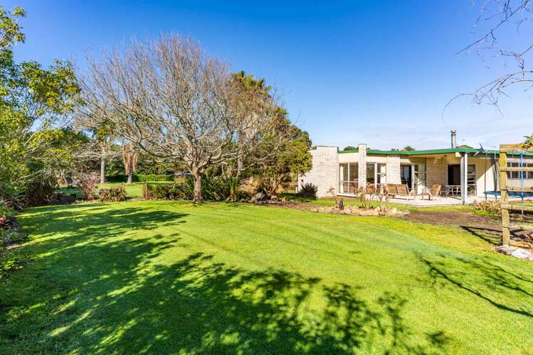 65 Murdoch Street Dargaville_34