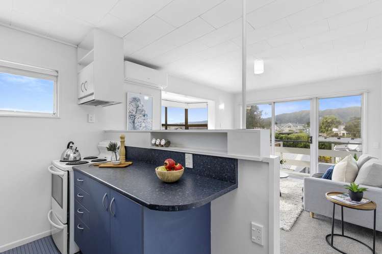3E Manchester Street Petone_7