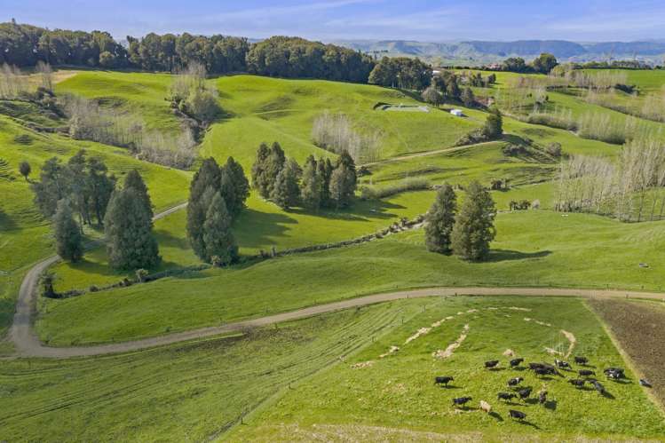 95 Mairoa Road Piopio_14