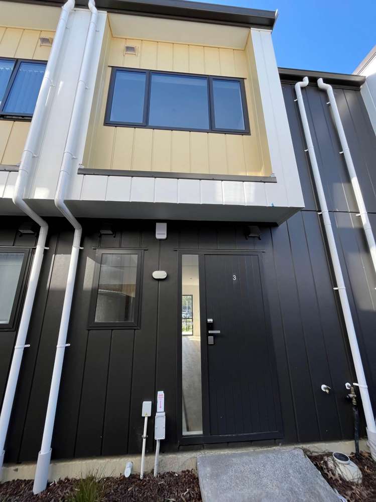 Elliot Street Papakura_9